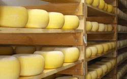 Россия усилила контроль за сырами еще одного украинского завода